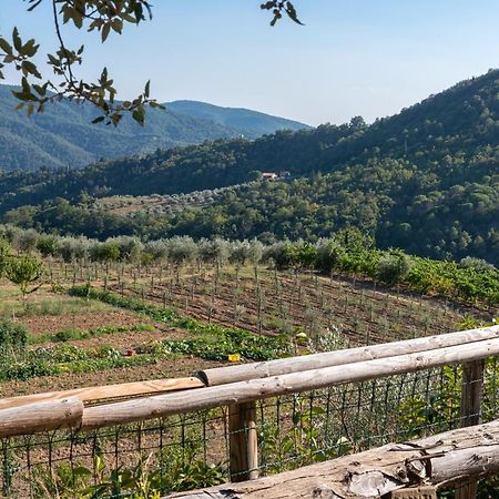 Poggio Al Mandorlo Villa Greve in Chianti Ngoại thất bức ảnh