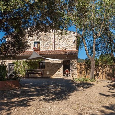 Poggio Al Mandorlo Villa Greve in Chianti Ngoại thất bức ảnh